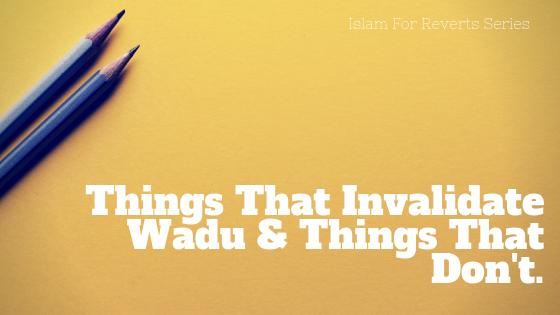 Islam For Reverts - Acts That Invalidate Wadu