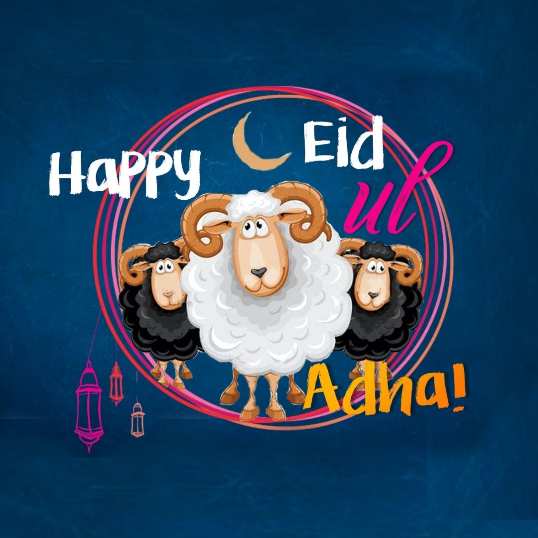 Eid-Ul-Adha Quirky Sheep Greeting Card » Hidden Pearls